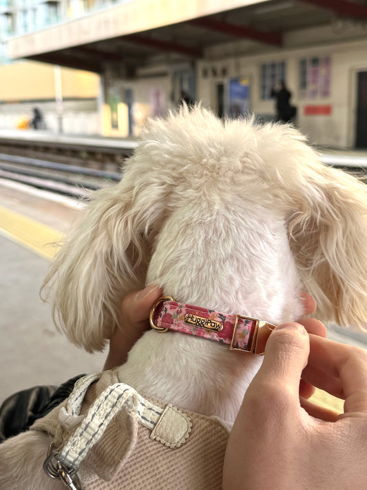 Rosy Bloom Dog Collar