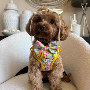 Sunny Bloom Dog Harness