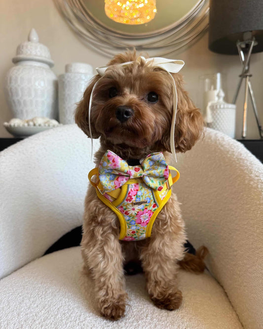 Sunny Bloom Dog Bow Ties