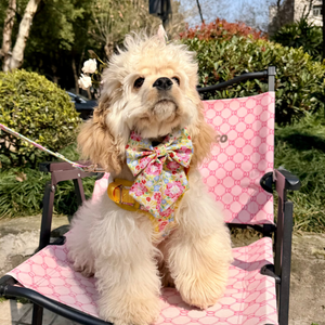 Sunny Bloom Dog Harness