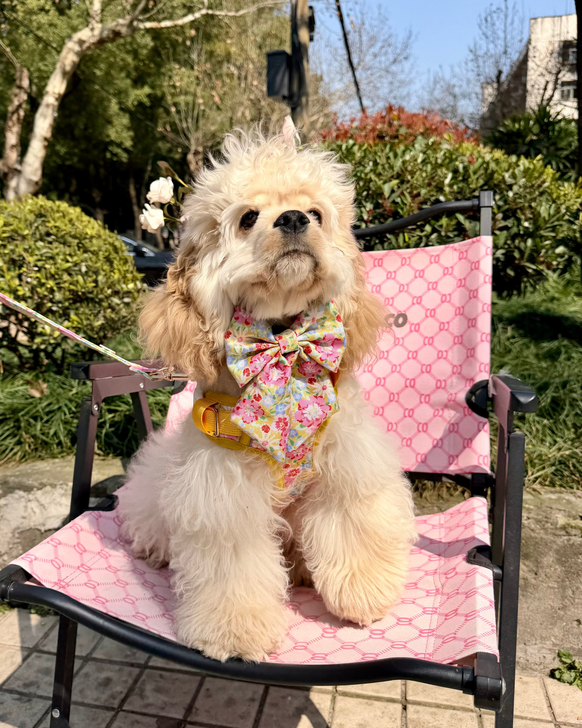 Sunny Bloom Dog Harness