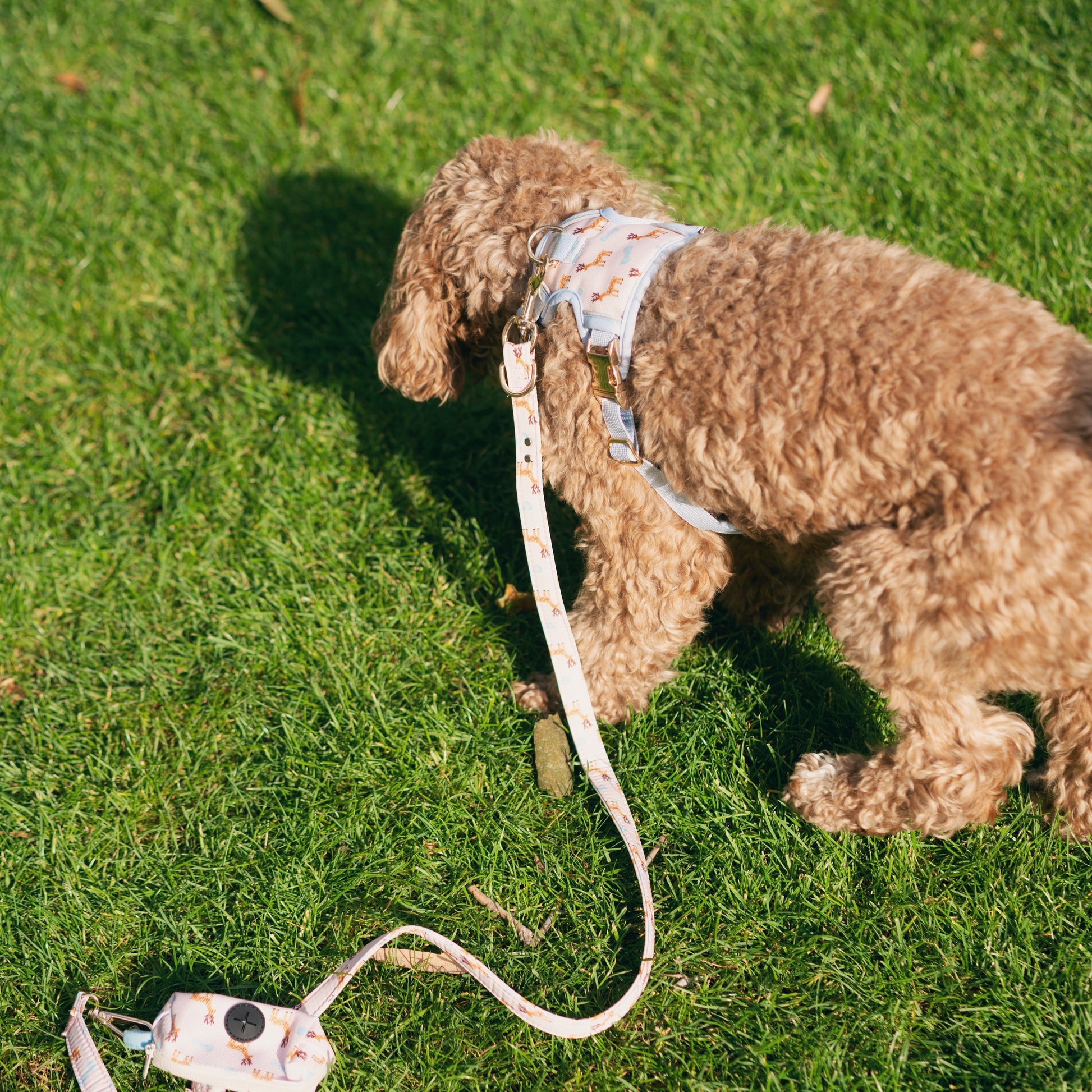 Dreamland Deer Dog Lead