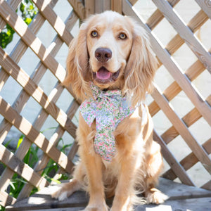 Petal Breeze Dog Harness