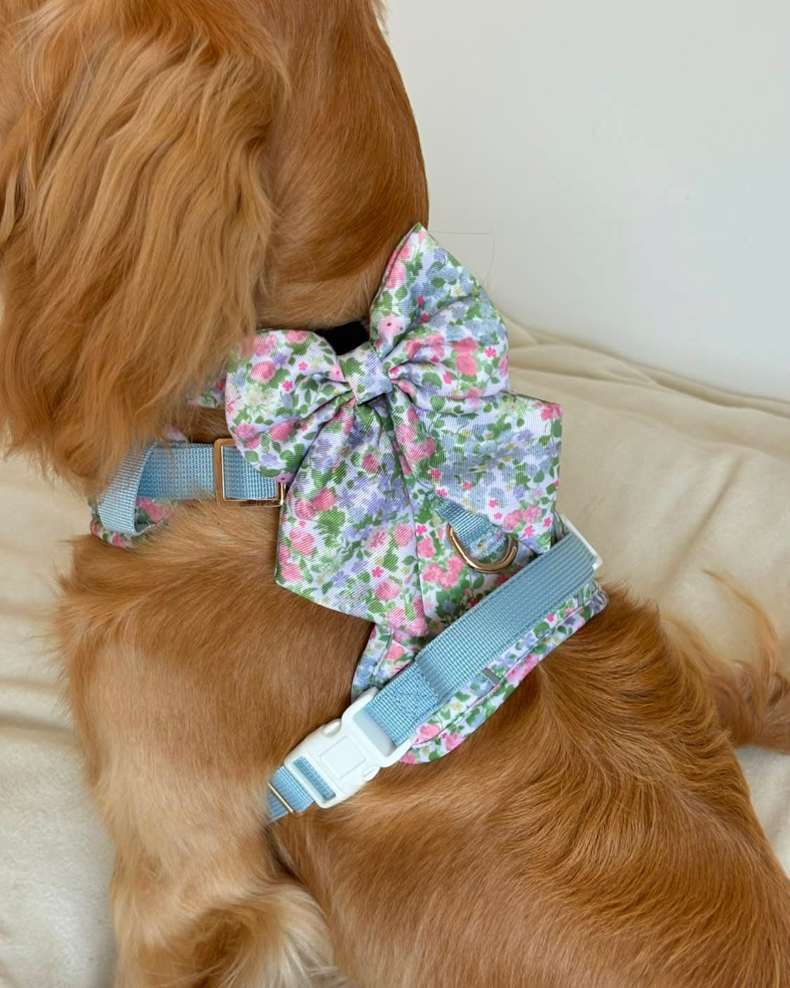 Petal Breeze Dog Sailor Bow Ties