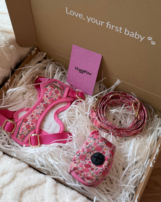 Mother’s Day Special – Rosy Bloom Harness Set