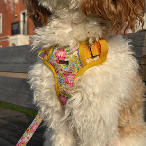 Sunny Bloom Dog Harness
