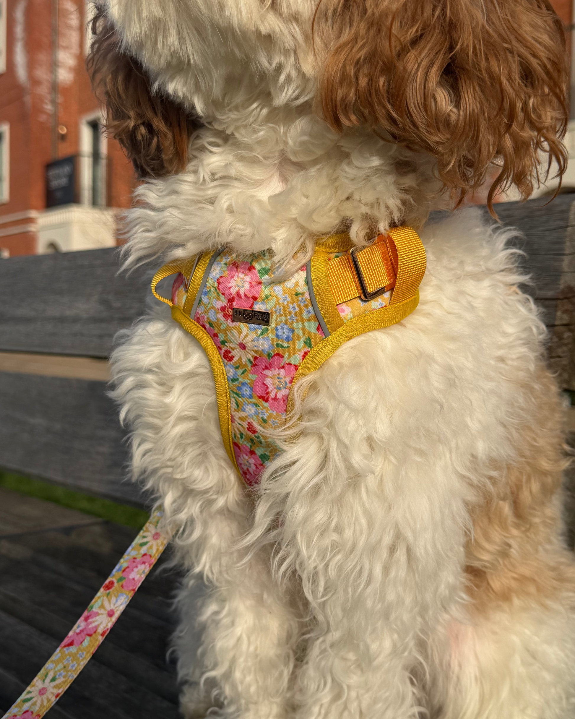 Sunny Bloom Dog Harness