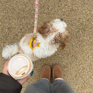 Sunny Bloom Dog Lead