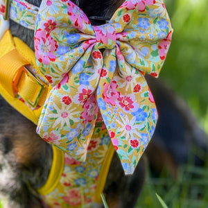Sunny Bloom Dog Sailor Bow Ties