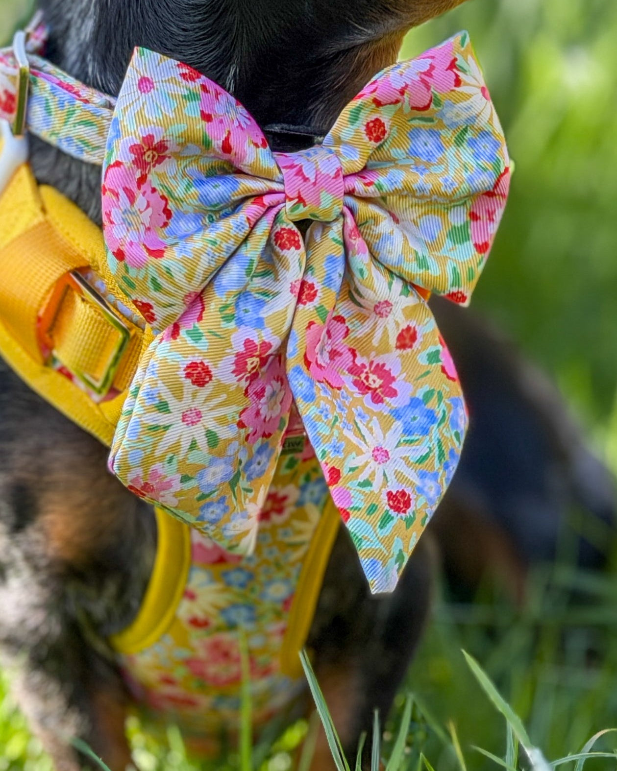 Sunny Bloom Dog Sailor Bow Ties
