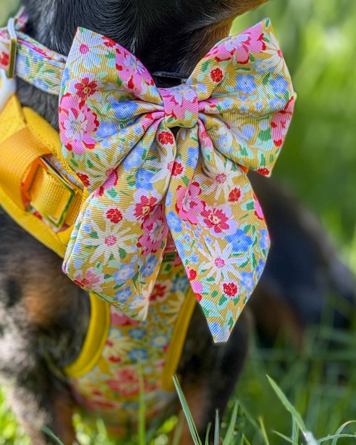 Sunny Bloom Dog Sailor Bow Ties