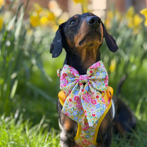 Sunny Bloom Dog Harness