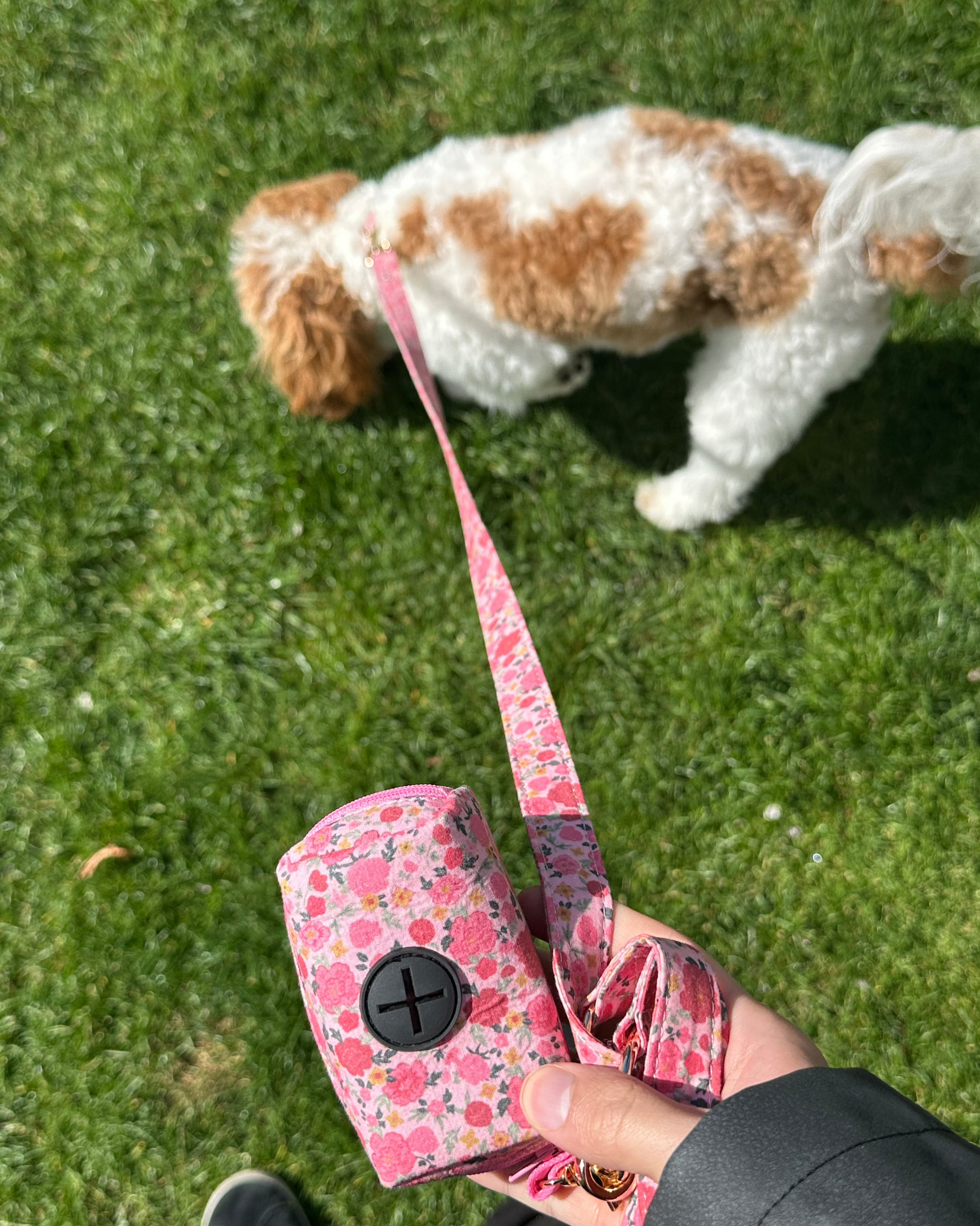 Rosy Bloom Dog Poop Bag