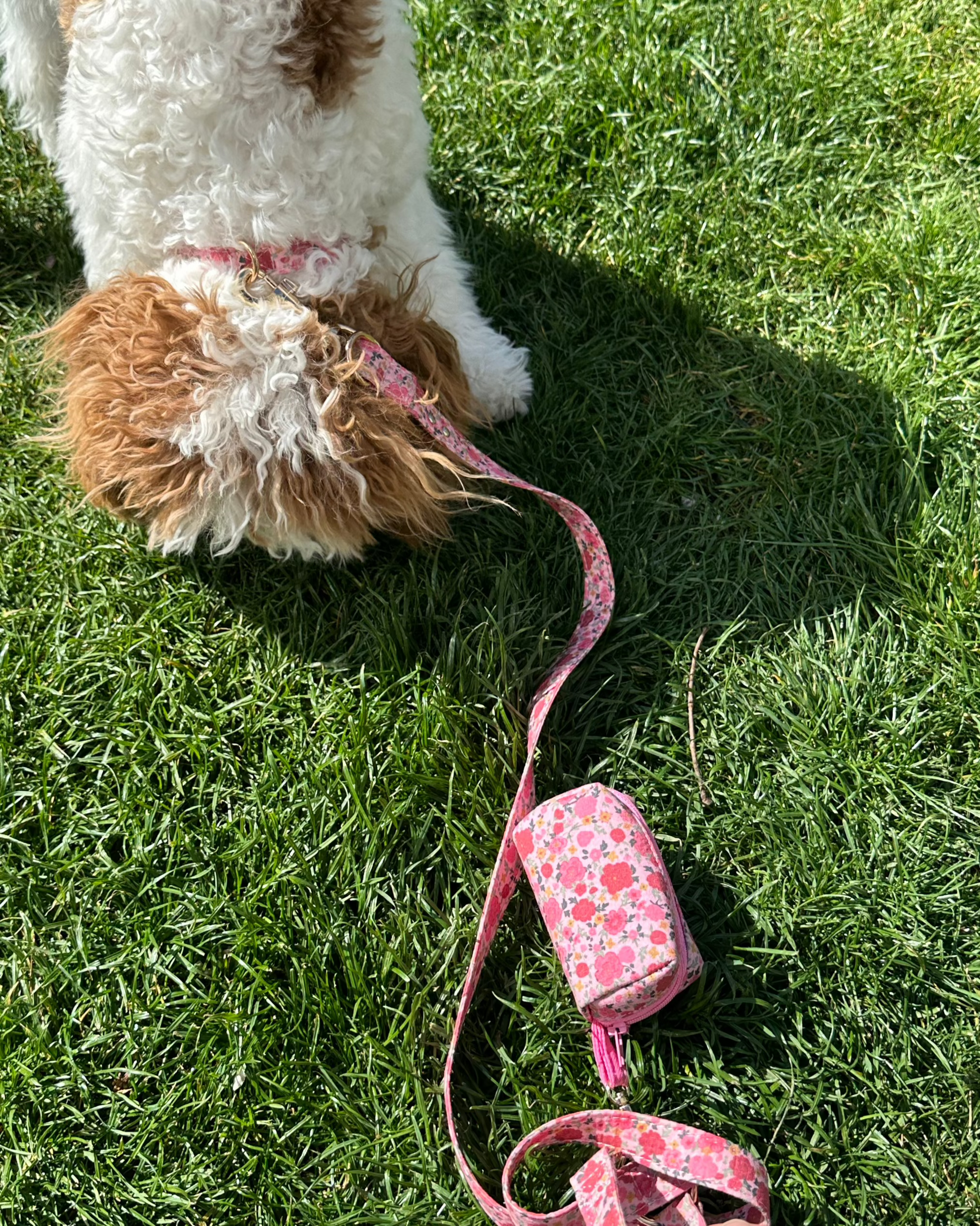 Rosy Bloom Collar Set