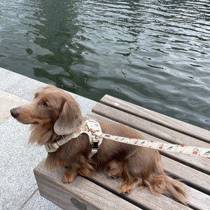 Vintage Fleur Dog Harness