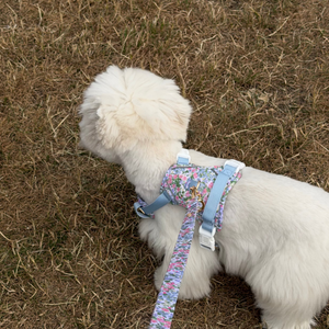 Petal Breeze Dog Lead