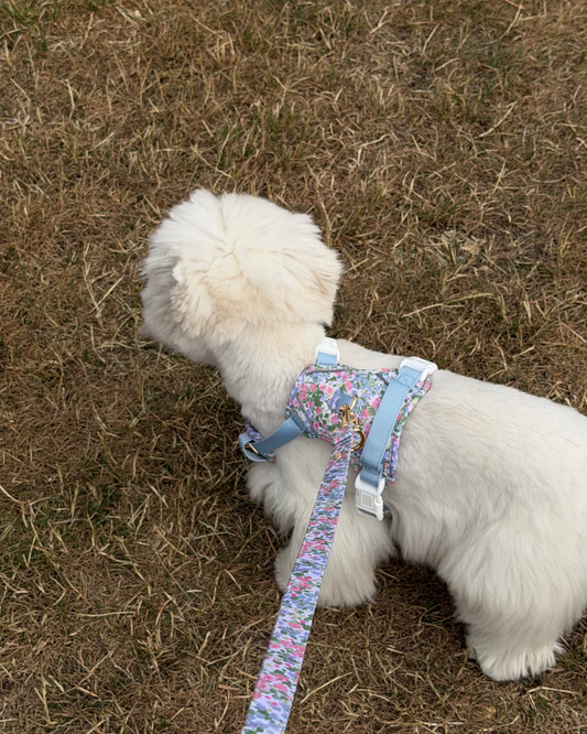 Petal Breeze Harness Set