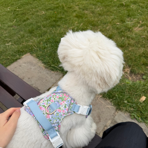 Petal Breeze Dog Harness