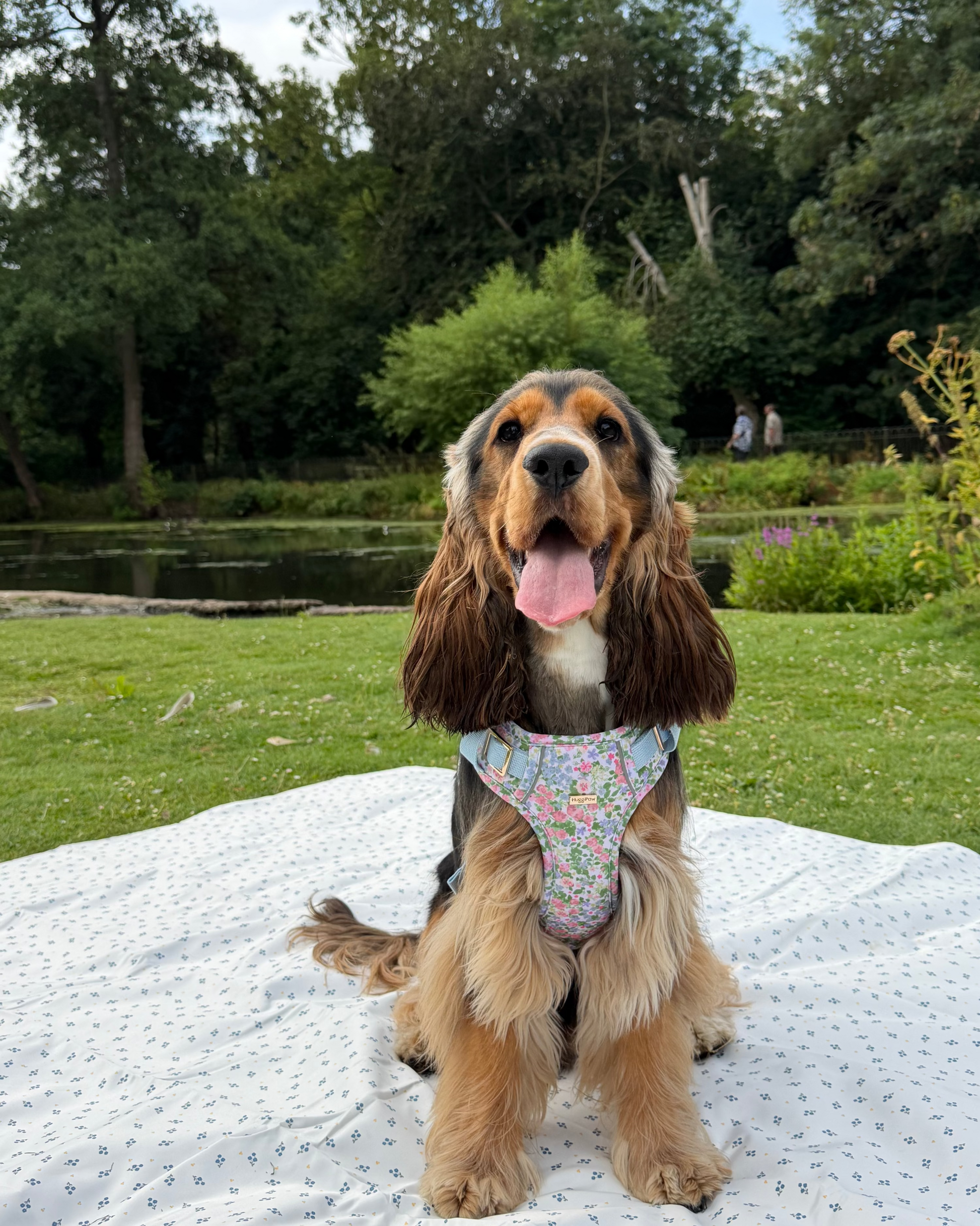 Petal Breeze Dog Harness