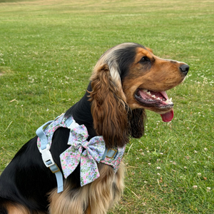 Petal Breeze Dog Sailor Bow Ties