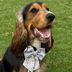 Petal Breeze Dog Sailor Bow Ties
