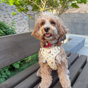 Vintage Fleur Dog Harness