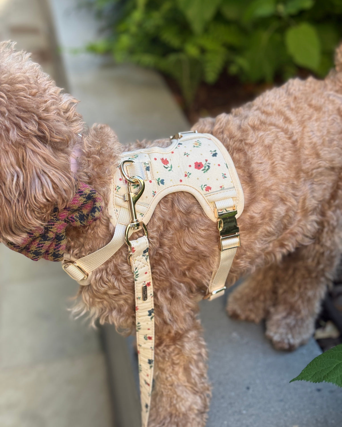 Vintage Fleur Harness Set