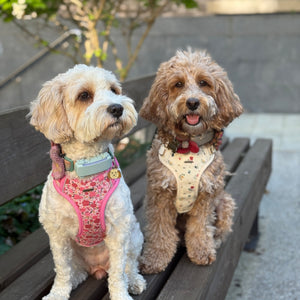 Rosy Bloom Dog Harness