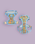Citrus Breeze Dog Harness