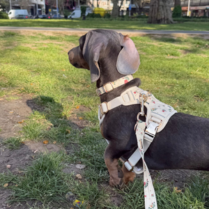 Vintage Fleur Dog Harness