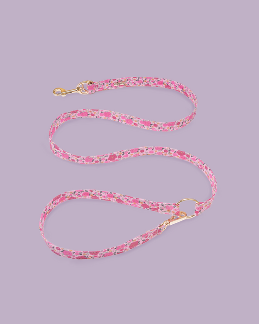 Rosy Bloom Dog Lead