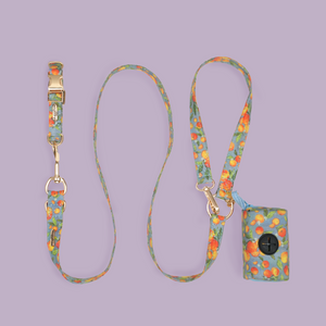 Citrus Breeze Collar Set