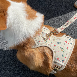 Vintage Fleur Dog Harness