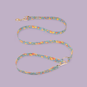 Citrus Breeze Dog Lead