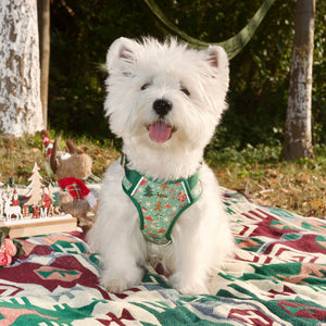 Merry Paws Dog Harness