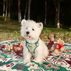 Merry Paws Dog Harness