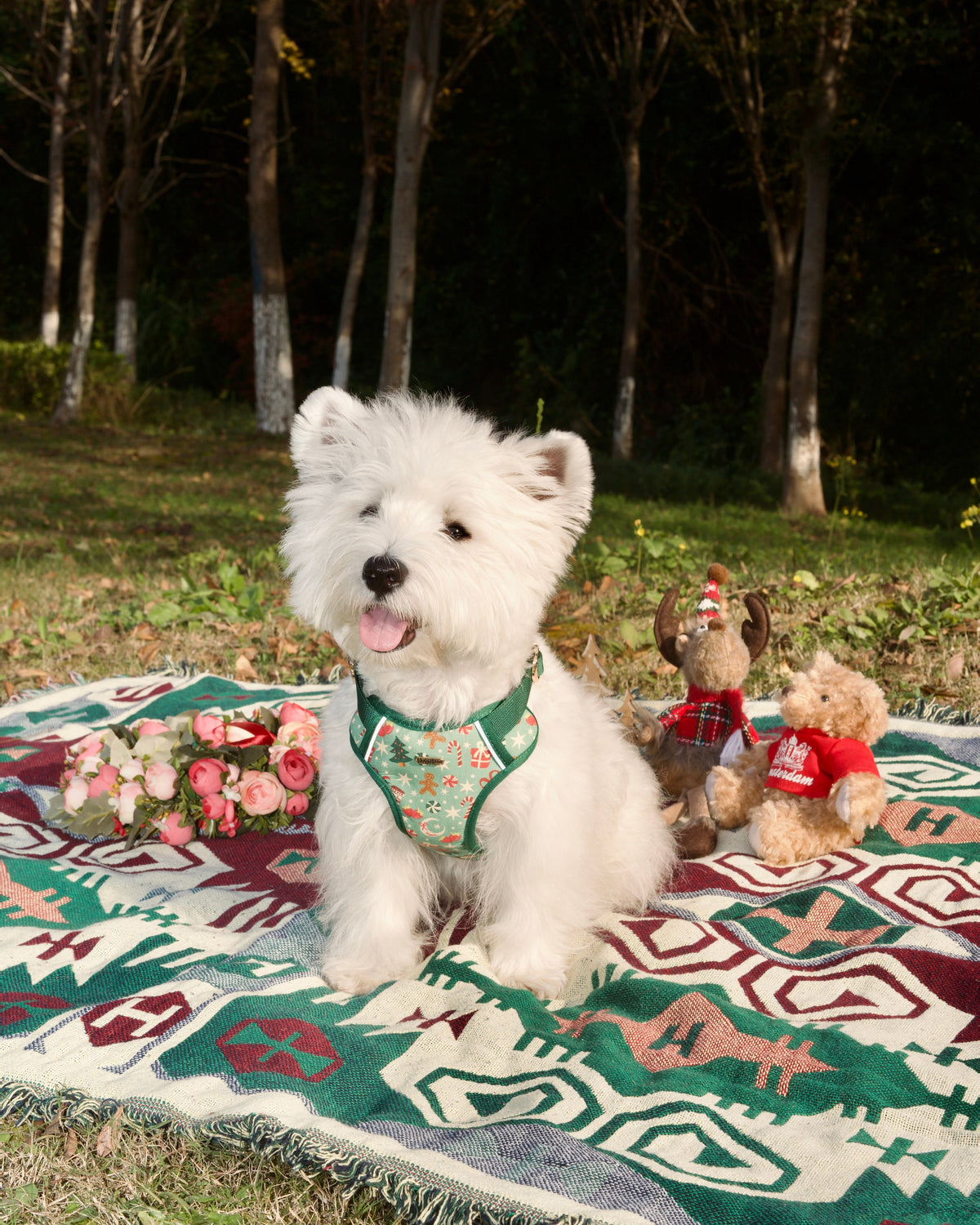 Merry Paws Dog Harness