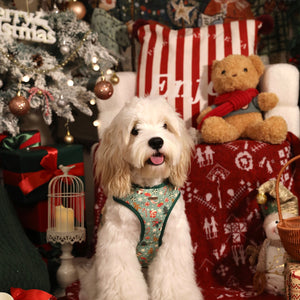 Merry Paws Dog Harness