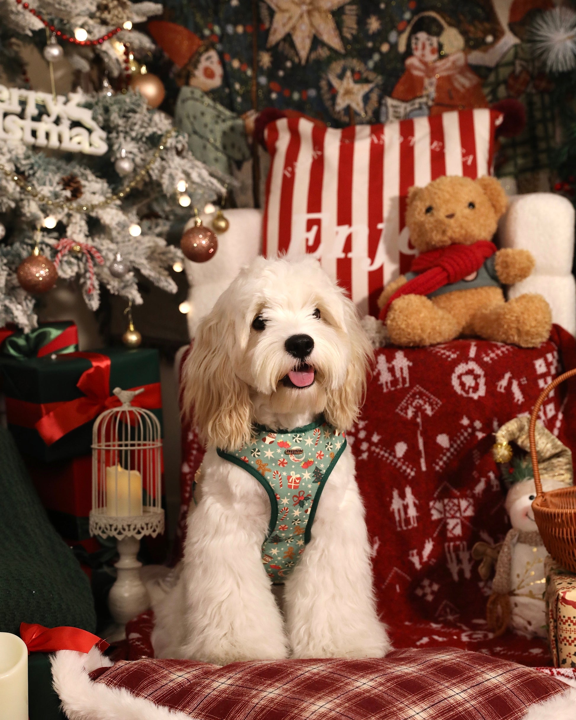 Merry Paws Dog Harness