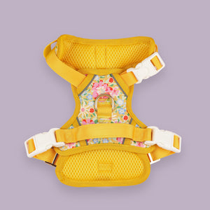 Sunny Bloom Dog Harness