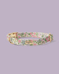 Petal Breeze Dog Collar