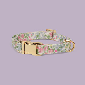 Petal Breeze Dog Collar