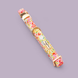 Sunny Bloom Dog Collar