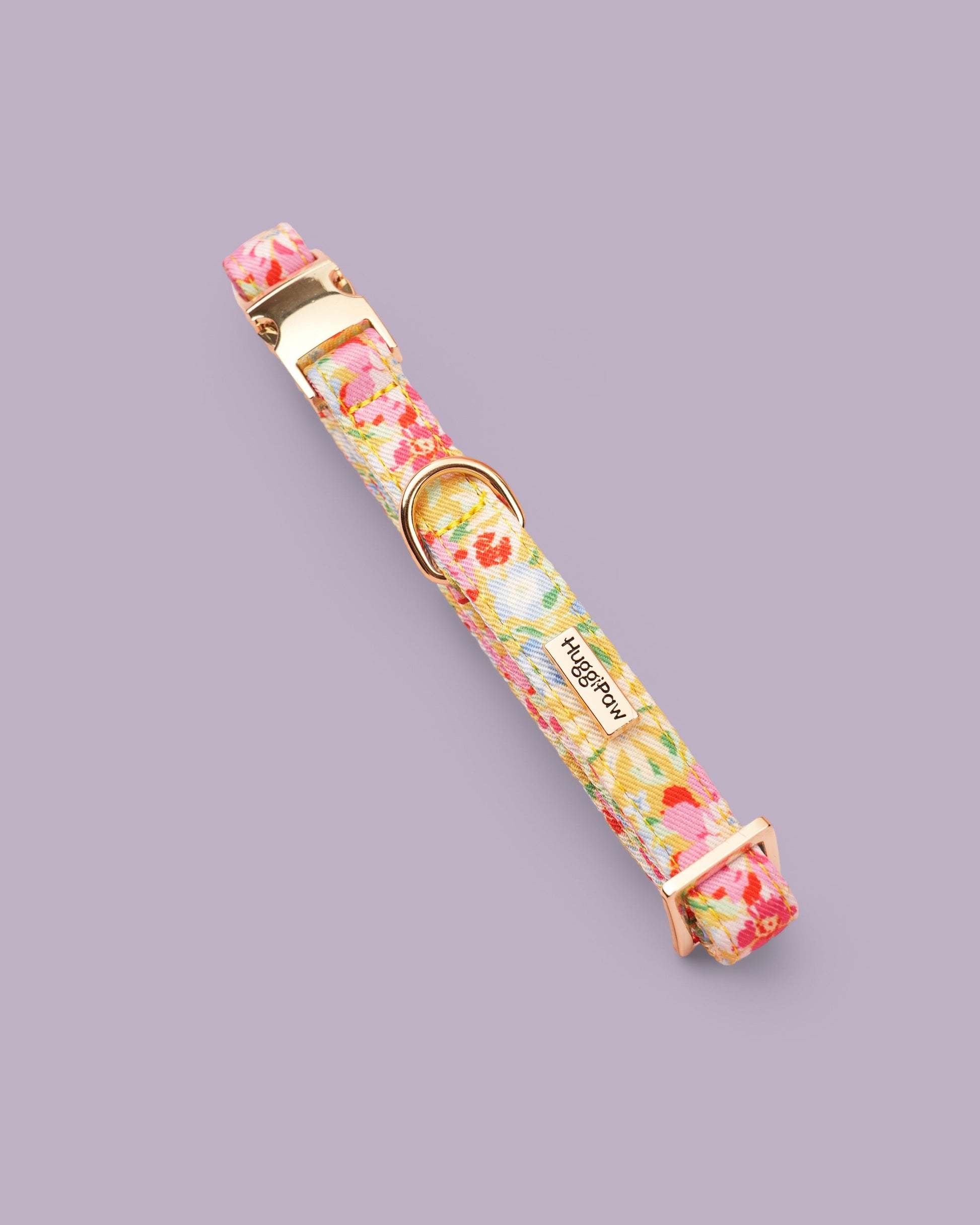 Sunny Bloom Dog Collar
