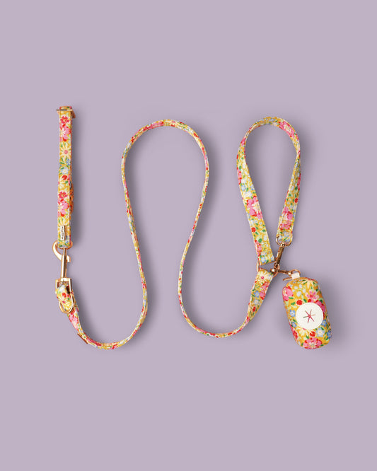Sunny Bloom Collar Set