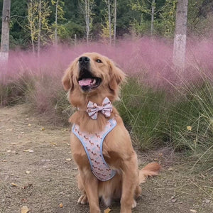 Dreamland Deer Dog Harness