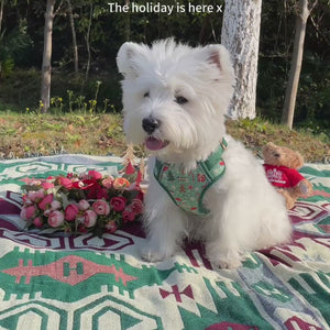 Merry Paws Dog Harness