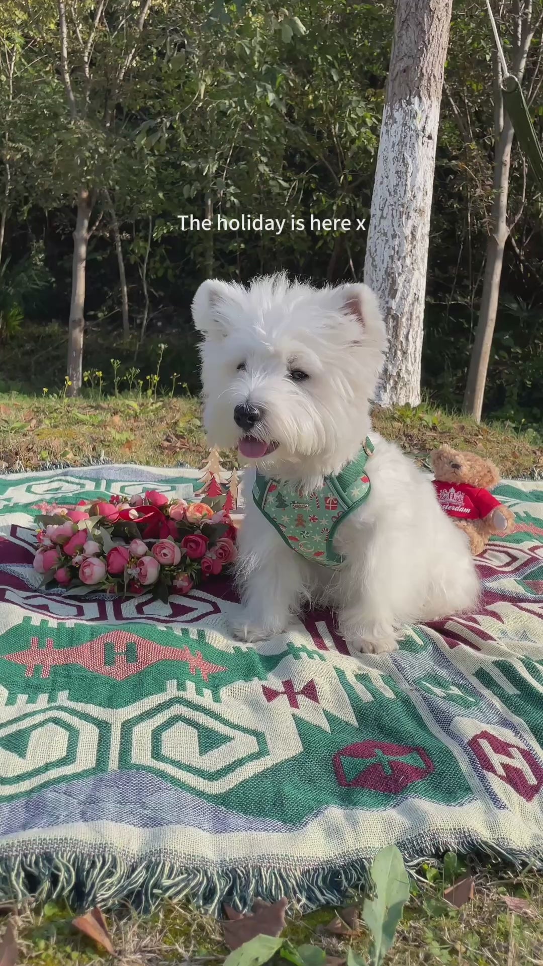 Merry Paws Dog Harness