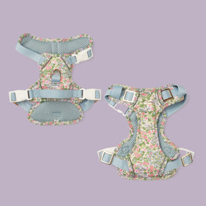 Petal Breeze Dog Harness