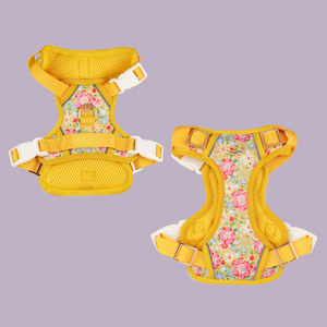 Sunny Bloom Dog Harness